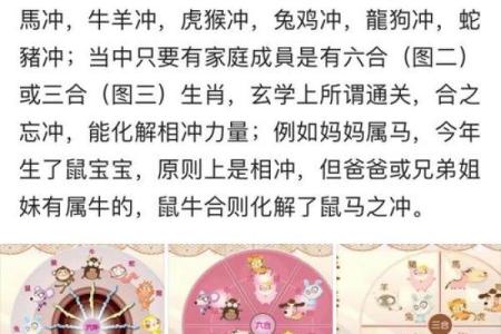如何识别和避免生肖相冲的负面影响