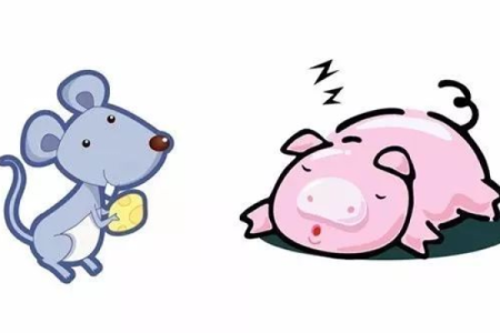 鼠女与猪男的婚姻是否幸福？