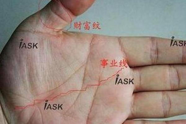苏民峰手相笔记：揭开命运之线的奥秘与启示