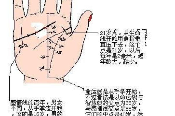 苏民峰手相笔记：揭开命运之线的奥秘与启示