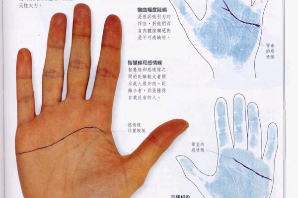 数字化手相解读：手机拍照预测未来命运