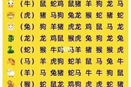 子年对应的生肖是什么？解析子与生肖的关系
