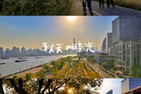 深秋时节的节日风情：不可错过的庆祝时光