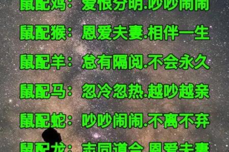 探讨牛与虎在婚姻中的契合度与挑战