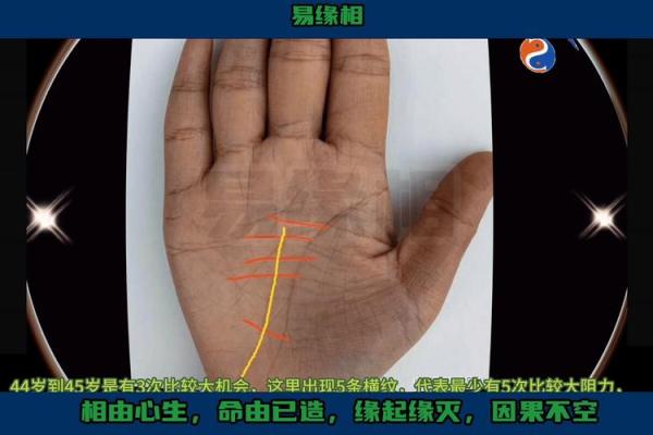 解密手相中的罕见线条，揭示人生潜在的机遇与挑战