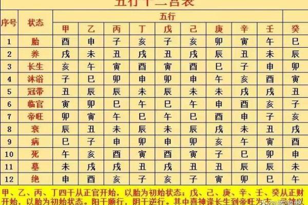 天干先生与五行命理的深度关联分析