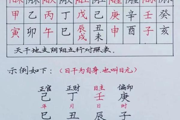 天干先生与五行命理的深度关联分析
