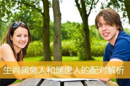 属兔男和属蛇女的婚姻契合度解析