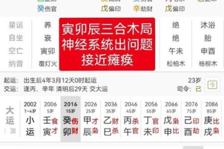 正道排盘解读：开启命理学的全新视角