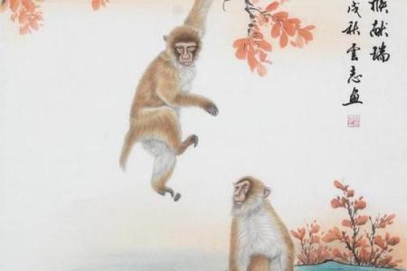 属猴男与属狗女的爱情能走多远