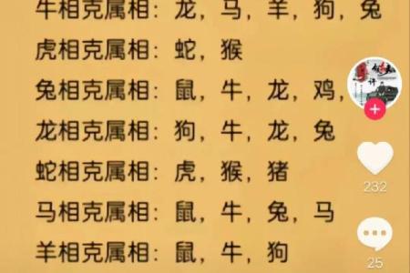 生肖相冲是否能通过调整环境化解