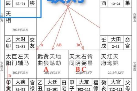 排盘选择指南：哪种方法能提供最有价值的命理分析