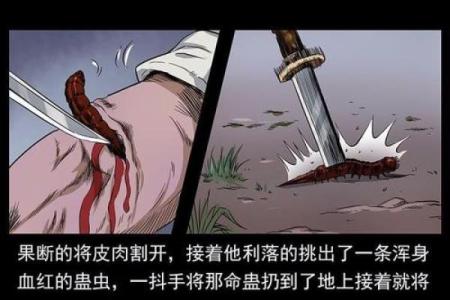 二月为何被称为乞丐命的背后原因分析