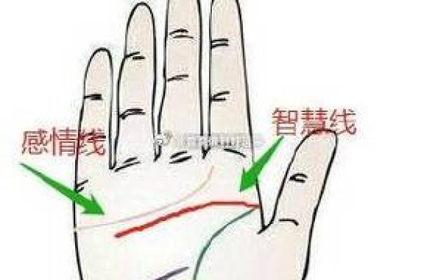 手相中的儿女线能预测孩子的性格