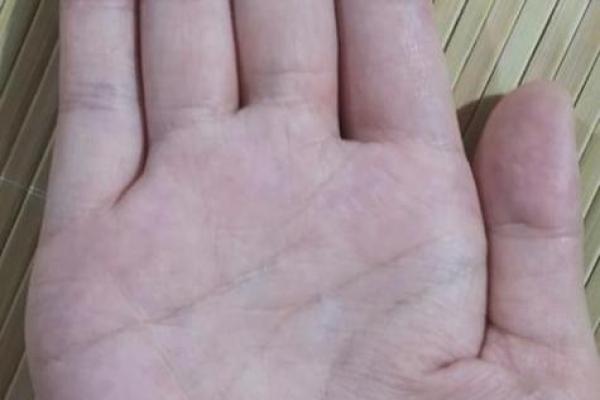 梦见手相分析，揭示你内心的真实想法和情感