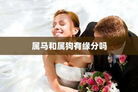 属狗与属鼠的人能走到一起吗？深度解析两者的缘分