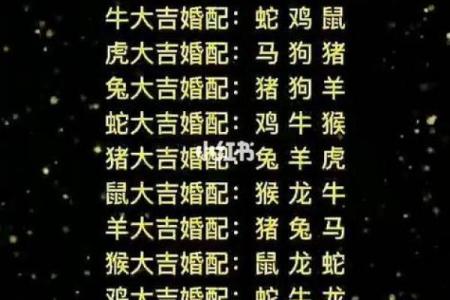 十二生肖对应表解读：了解你的属相与命理关联