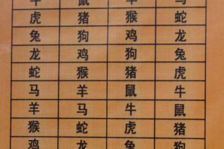 属马与属龙的关系如何？从生肖配对角度解析两者是否合适