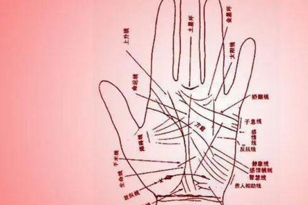 掌握手相学：揭示你命运的秘密从手掌开始