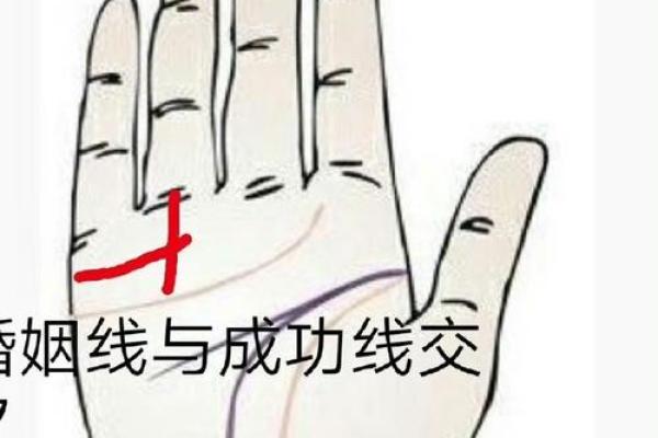 手相解读：从掌纹看你的命运与性格特点