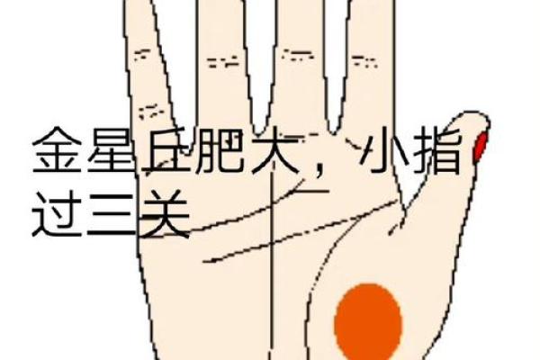 手相星纹解析：细节决定命运轨迹
