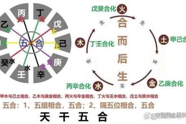 己巳命理解析：深入探讨五行与命运的深层联系