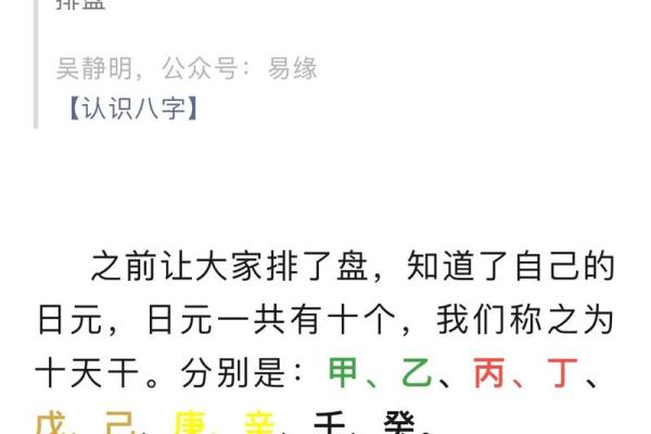 乙木的十天干解析与应用意义