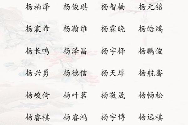 申姓宝宝起名推荐：独特又有寓意的名字选择指南