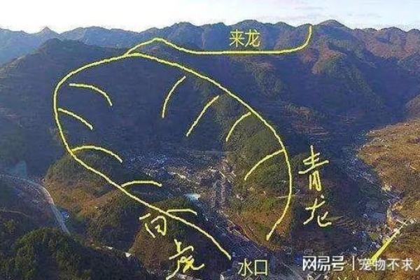 如何通过风水选购房产：买房时的风水禁忌与技巧