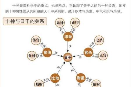 正官透天干在八字命理中的独特作用