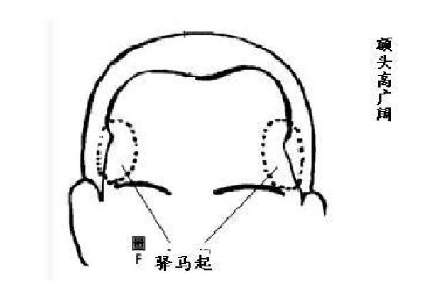 解读女人额头八字纹背后的深层含义与运势