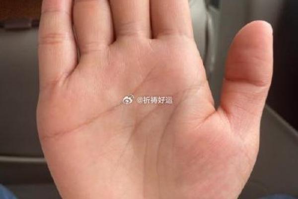 探索手相面相的奥秘：命运与人生道路的隐秘符号