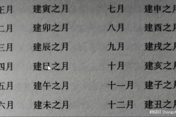 辰月命理对个性与事业的影响探讨