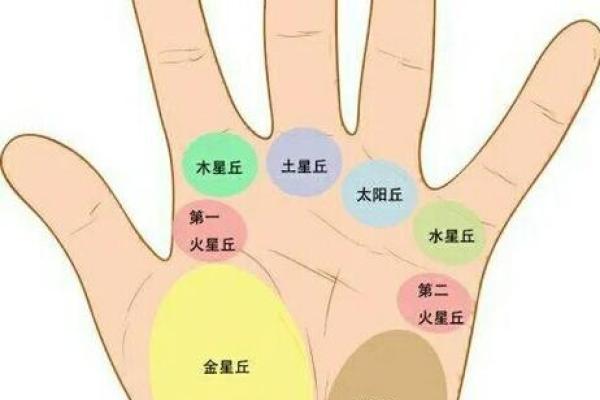 手相与智商的关系：从掌纹看思维能力的线索