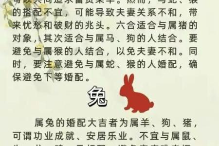 属虎与属牛的情侣适合吗？解析他们的相处之道
