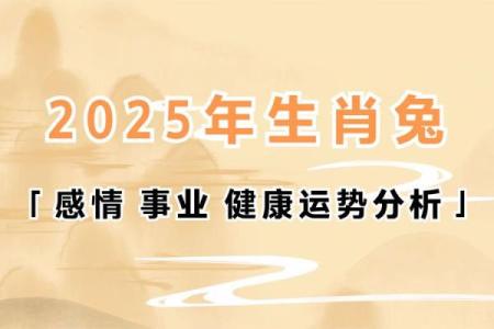 属兔与属马的缘分分析：两者是否相配？