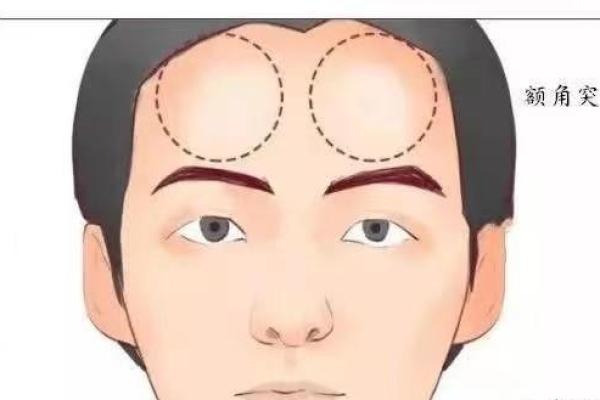 额头形状与面相解读：揭示命运与性格的秘密
