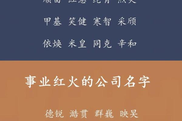 为公司起个富有创意的名字，吸引更多客户
