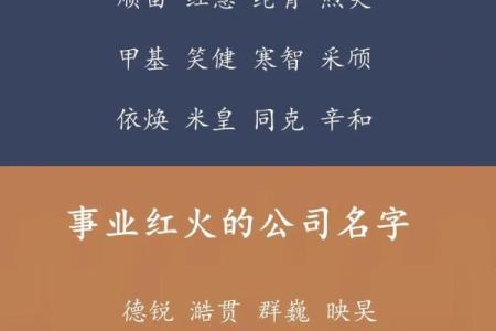 为公司起个富有创意的名字，吸引更多客户