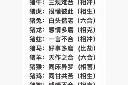 兔子牛生肖配对的优缺点，是否能长期和谐相处