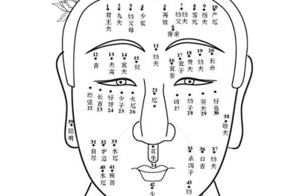解析面相和善的人在生活中的优势