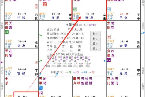 深入了解紫薇排盘的关键要素