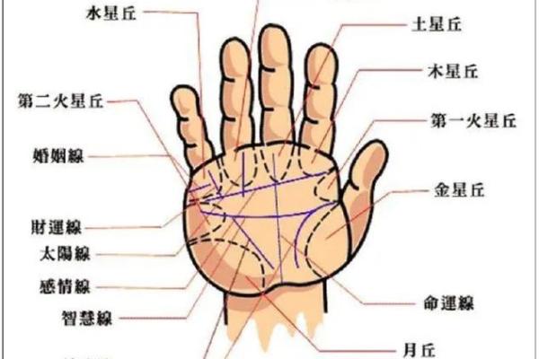 手相主线解读：如何通过掌纹预测人生走势