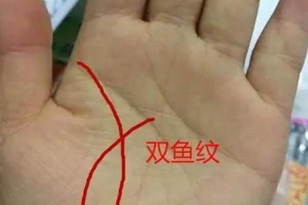 财位风水鱼如何助力家庭财运提升