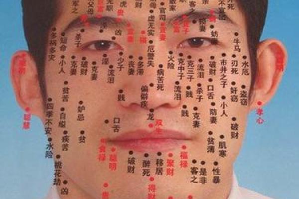 好面相男人的面部特征与成功之道
