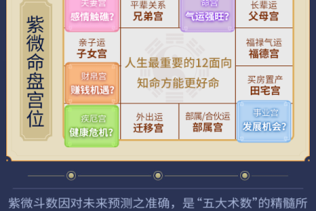 深入了解紫薇排盘的关键要素