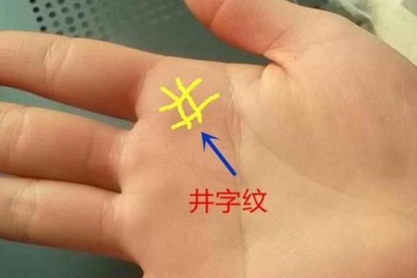 解读手掌纹理，发现属于你的富贵命