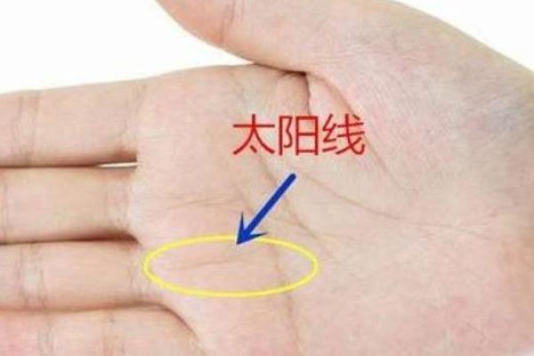 手相与科技结合，拍照瞬间揭示你的人生轨迹
