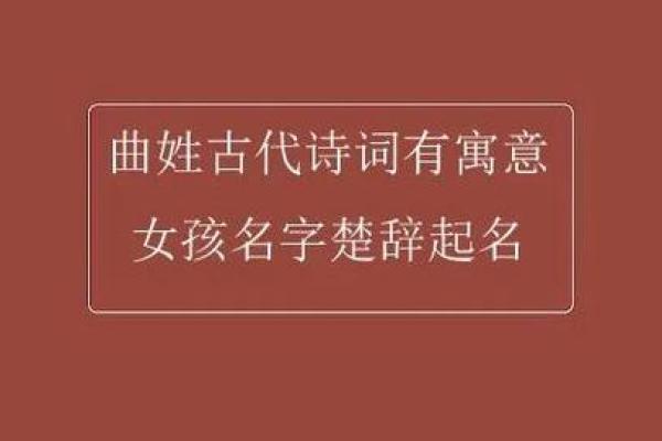 适合木命宝宝的名字推荐：帮助孩子提升运势与性格