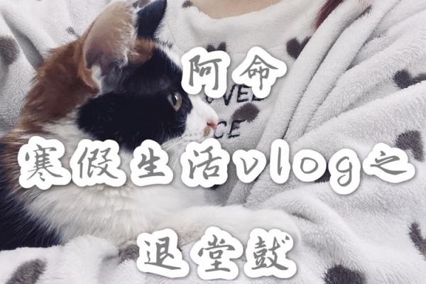 小姐命与现代女性自我认知的冲突与和解